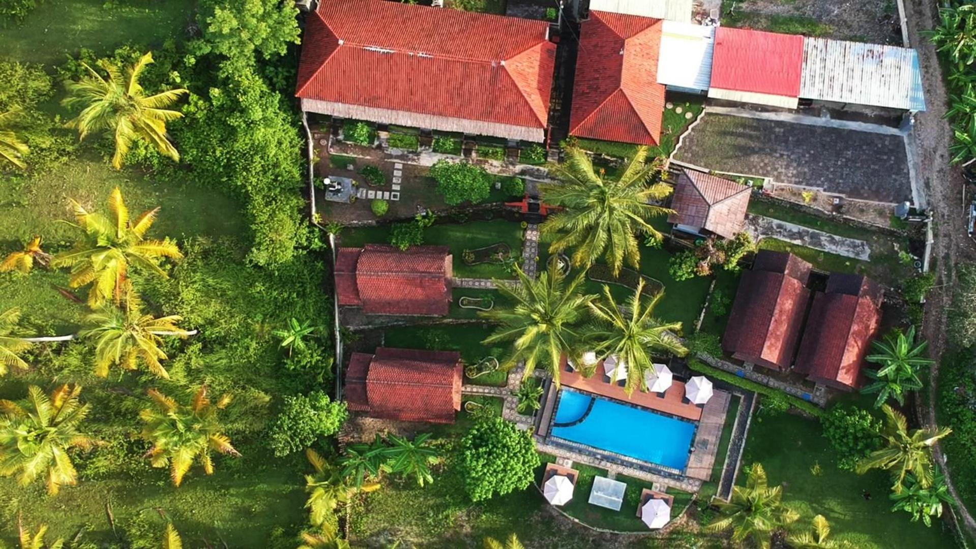 Mamaras Guest House Sakti Buitenkant foto