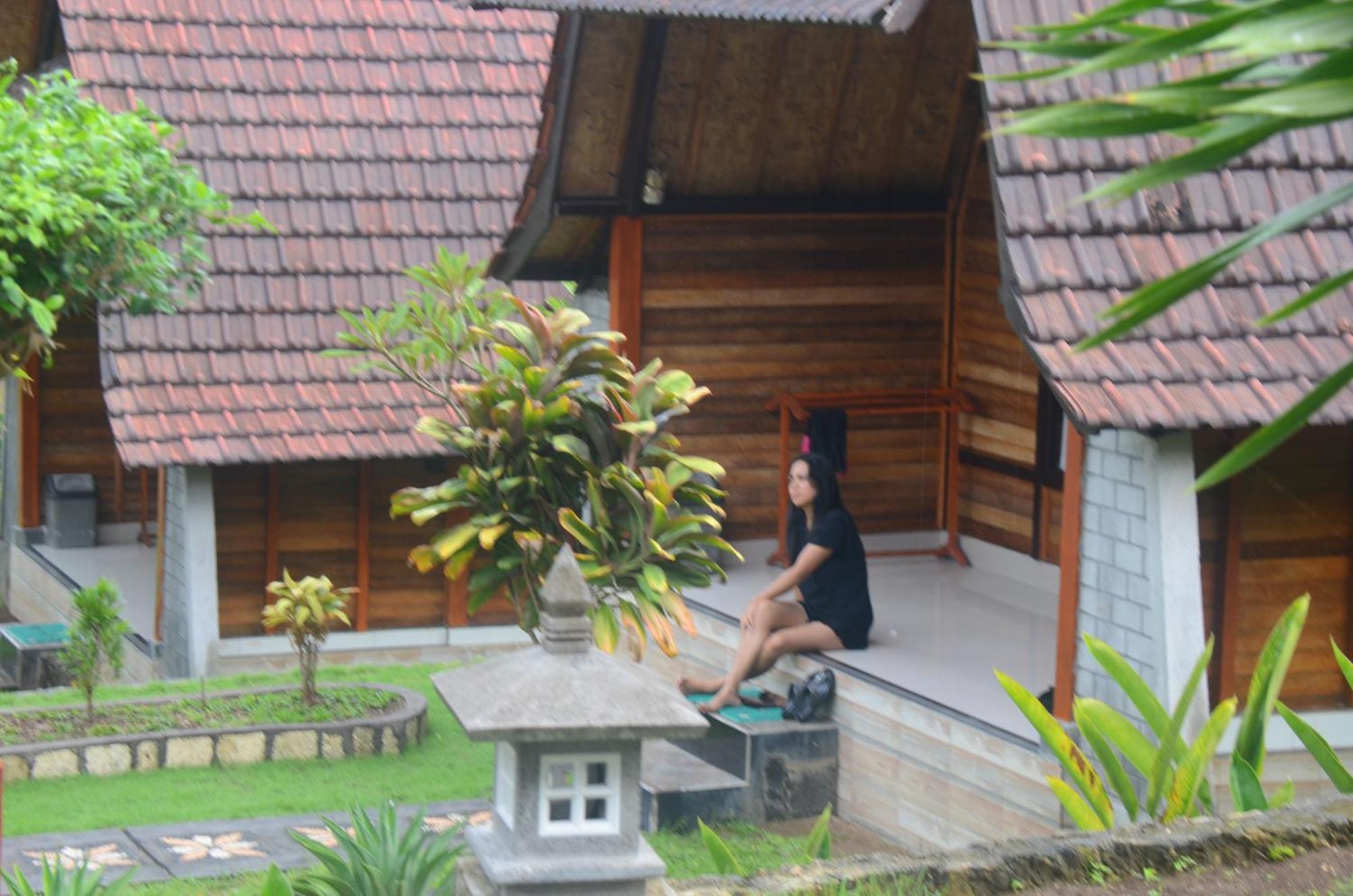 Mamaras Guest House Sakti Buitenkant foto