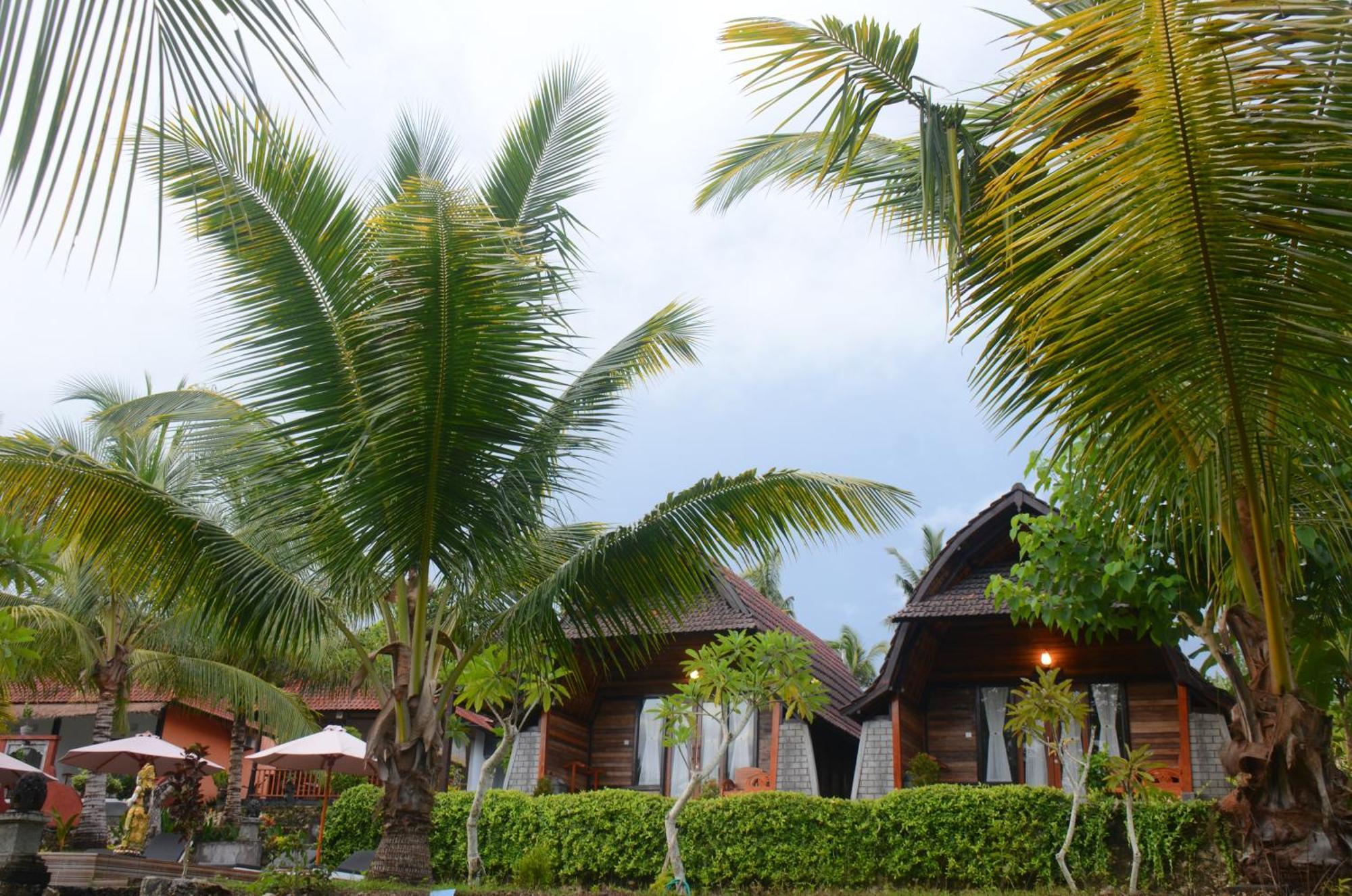 Mamaras Guest House Sakti Buitenkant foto